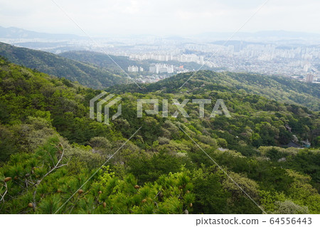 北漢山，國家公園，春天 64556443