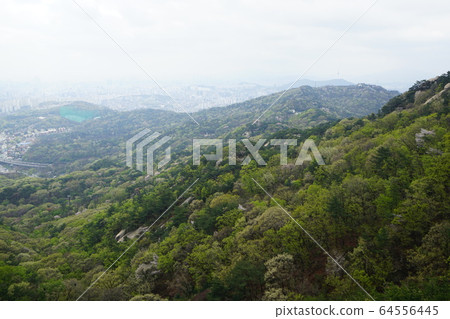 北漢山，國家公園，春天 64556445