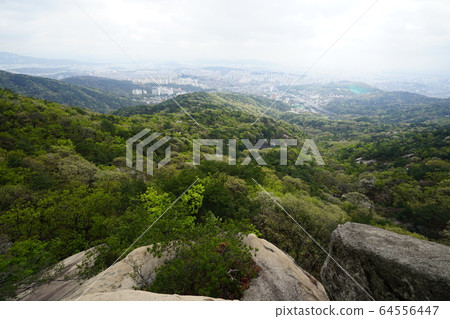 北漢山，國家公園，春天 64556447