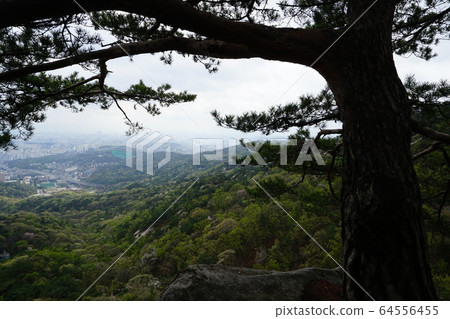 Bukhansan. National Park. Spring 64556455
