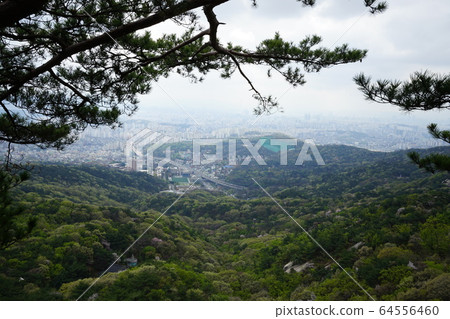 北漢山，國家公園，春天 64556460