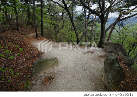 Bukhansan. National Park. Spring Bukhansan. National Park. Spring 64556512