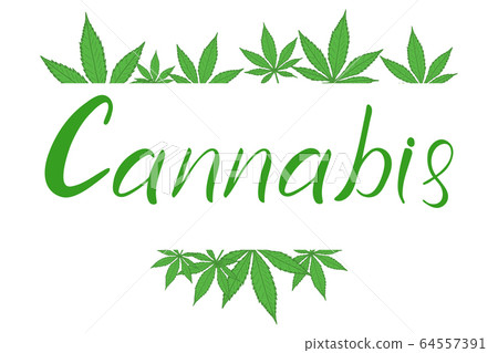 Cannabis hand lettering text and green leaves 64557391