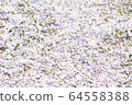 Sakura carpet 64558388