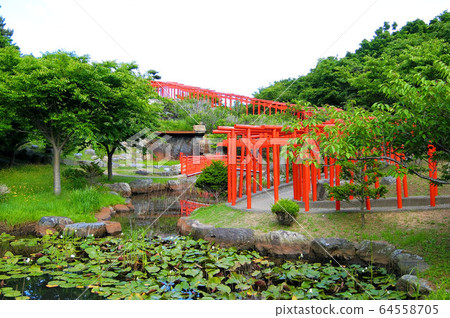 高山稻荷神社 高山稻荷神社 64558705