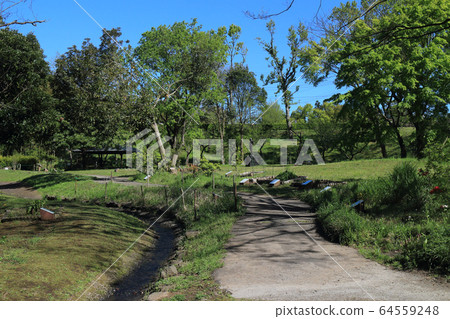 Sodegaura Park / Manyo no Sato Sodegaura Park / Manyo no Sato 64559248