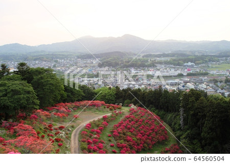 Evening view of azalea park Evening view of azalea park 64560504