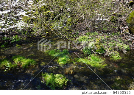 Oishimizu, the famous water of Iwaizumi Oishimizu, the famous water of Iwaizumi 64560535