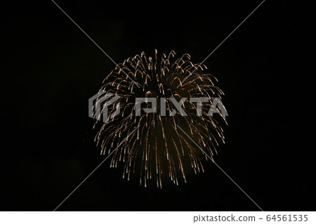 Beautiful summer fireworks display Beautiful summer fireworks display 64561535