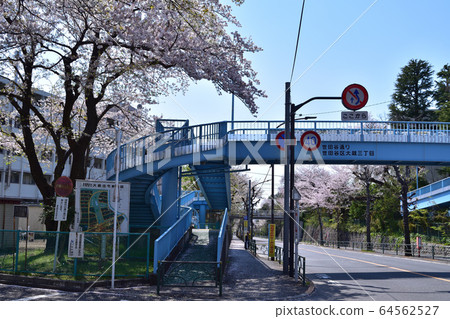 Pedestrian bridge in Okura housing complex in Setagaya Ward 64562527