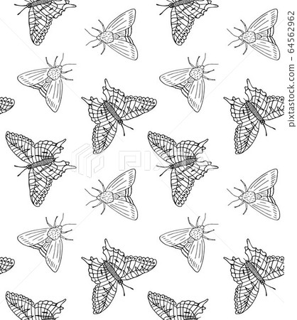 Vector seamless pattern of butterfly and moth Vector seamless pattern of butterfly and moth 64562962