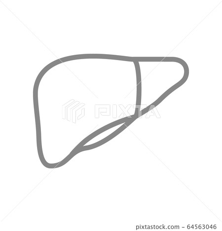 Human liver line icon. Healthy internal organ symbol Human liver line icon. Healthy internal organ symbol 64563046