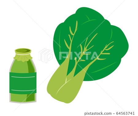 白菜蔬菜矢量圖 64563741