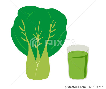 Pak choi vegetables vector illustration Pak choi vegetables vector illustration 64563744