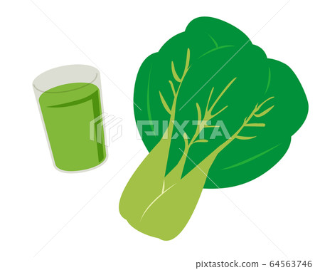 Pak choi vegetables vector illustration 64563746