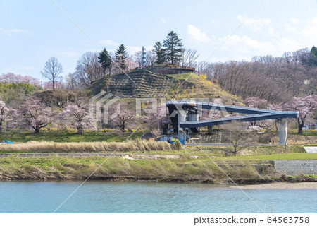 Ichimoku Senbonzakura, Cherry Blossom Tree, Sakura Spring River Ichimoku Senbonzakura, Cherry Blossom Tree, Sakura Spring River 64563758