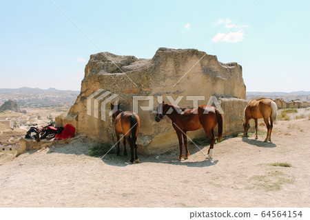 resting horses at Cavusin old village, cave town in Cappadocia, Turkey 64564154