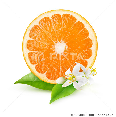 Isolated slice of orange and orange flowers Isolated slice of orange and orange flowers 64564307
