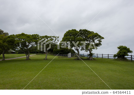 Rokugozaki燈塔（俗稱狼煙燈塔） 64564411