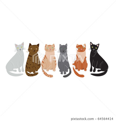 Cartoon Color Cute Cat Row Concept on a White. Vector Cartoon Color Cute Cat Row Concept on a White. Vector 64564414
