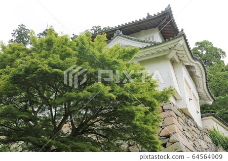 Izushi Castle Izushi Castle 64564909