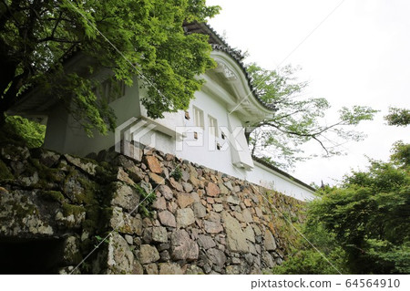 Izushi Castle 64564910
