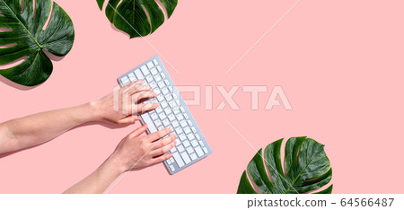 Person using a computer keyboard with tropical leaves Person using a computer keyboard with tropical leaves 64566487