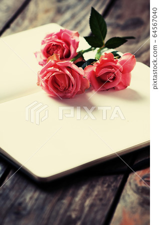Elegant open book with pink roses 64567040
