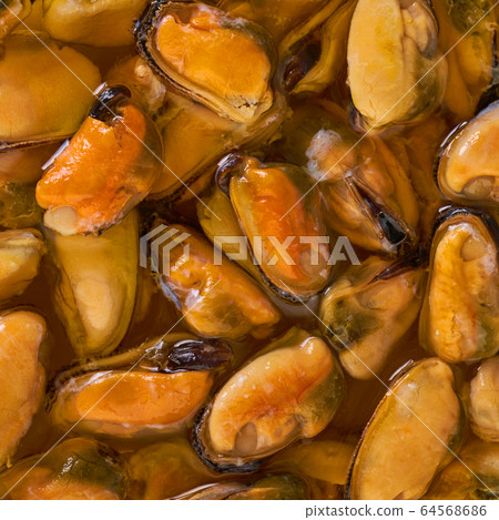 peeled mussel texture closeup peeled mussel texture closeup 64568686