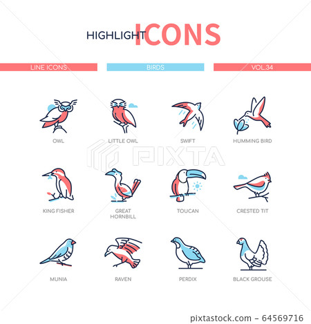 Bird species - modern line design style icons set Bird species - modern line design style icons set 64569716