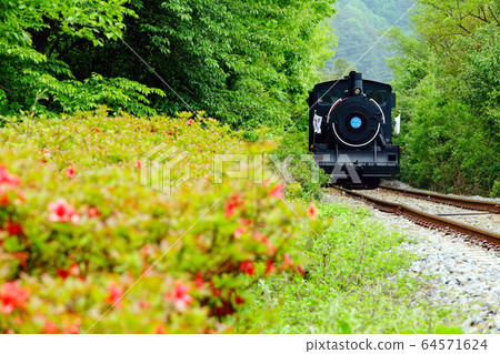 Steam locomotive running along Seomjin River in Gokseong-gun, Jeollanam-do 64571624