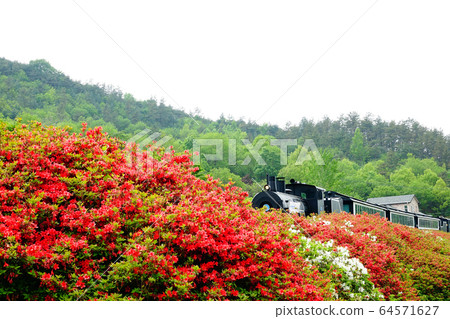 Steam locomotive running along Seomjin River in Gokseong-gun, Jeollanam-do Steam locomotive running along Seomjin River in Gokseong-gun, Jeollanam-do 64571627