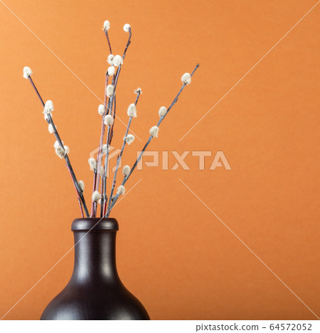 few pussy-willow twigs in ceramic bottle on brown few pussy-willow twigs in ceramic bottle on brown 64572052