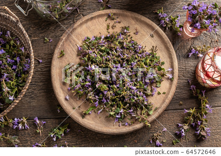 Cutting up ground-ivy to prepare homemade syrup 64572646