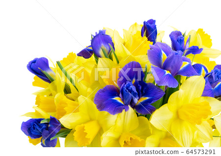bouquet of daffodil and iris flowers bouquet of daffodil and iris flowers 64573291