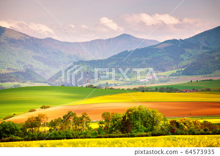 Slovakia rural scene. Blooming spring landscape. 64573935