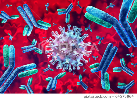 Antibody Concept 64573964