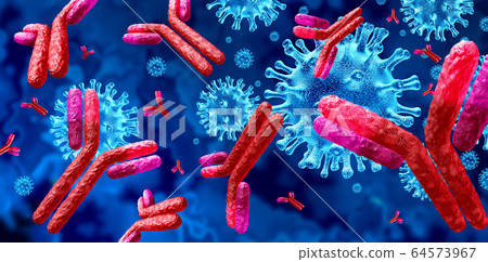 Antibody Immunoglobulin Antibody Immunoglobulin 64573967