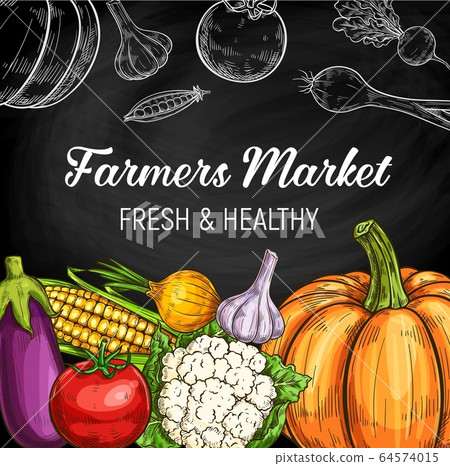 Farm vegetables chalk sketches on chalkboard Farm vegetables chalk sketches on chalkboard 64574015