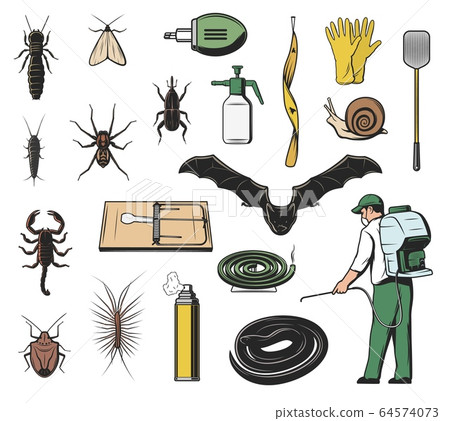 Pest insect, insecticide and exterminator icons Pest insect, insecticide and exterminator icons 64574073