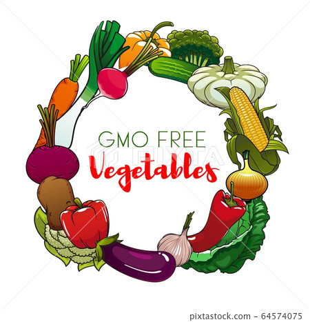 Garden vegetables of farm harvest. GMO free food 64574075
