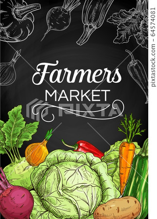Fresh farm vegetable chalk sketches on blackboard 64574081