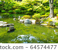 花園池塘 64574477