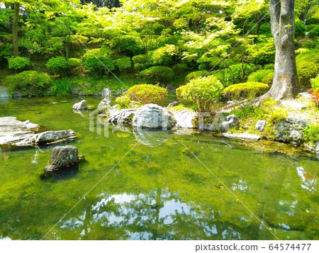 花園池塘 64574477