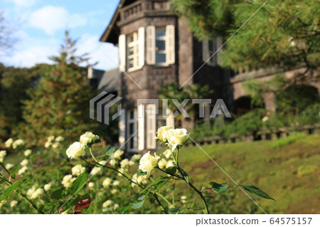 White rose and western mansion 64575157