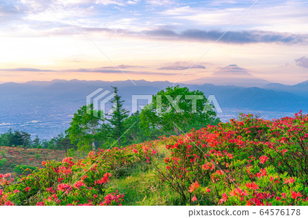 從阿瑪里山和富士山黃芪杜鵑花[山梨]看到的晨光 64576178