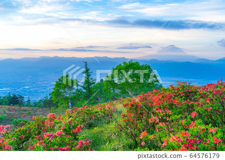 從阿瑪里山和富士山黃芪杜鵑花[山梨]看到的晨光 64576179