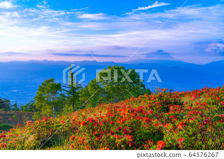 從阿瑪里山和富士山黃芪杜鵑花[山梨]看到的晨光 64576267