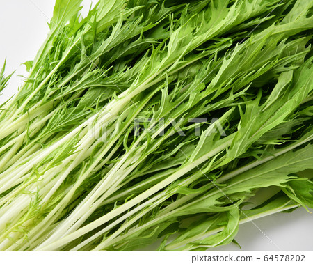 水izu菜 64578202