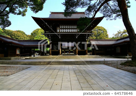 Meiji Jingu Shrine in late spring when fresh greenery started to sprout 64578646